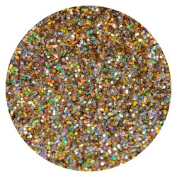 Glitters Hologram Rich & Famous