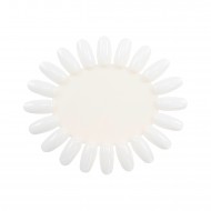 Colorwheel Oval NATURAL (10pcs)