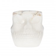 Skull Brush & Tool Holder WHITE