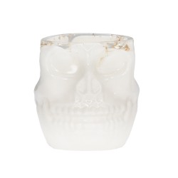 Skull Brush & Tool Holder WHITE Skull Brush & Tool Holder WHITE