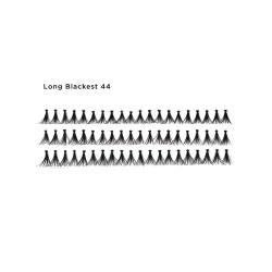 Flare Lashes 44 Long Blackest Flare Lashes 44 Long Blackest