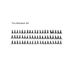 Flare Lashes 40 Trio Blackest Flare Lashes 40 Trio Blackest