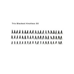 Flare Lashes 50 Trio Blackest KNOTLESS Flare Lashes 50 Trio Blackest KNOTLESS
