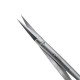 Cuticle Scissor COLIBRI